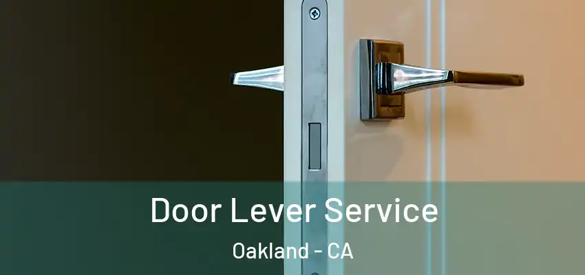 Door Lever Service Oakland - CA